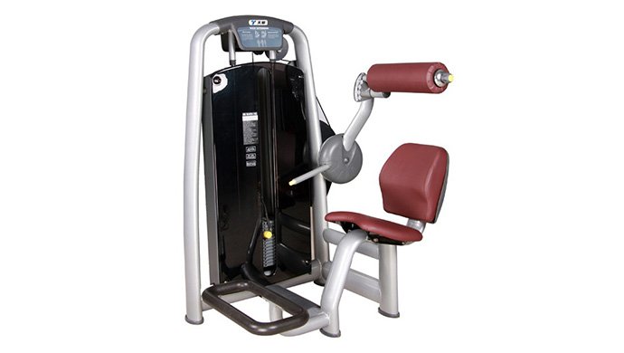 TZ-6006 Back Extension