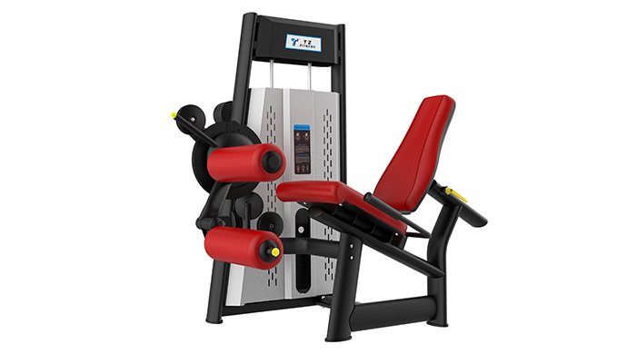 TZ-A6055 Leg Curl &Extension