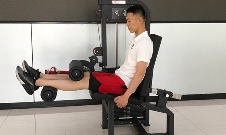 Get the Perfect Leg Workout with TZFIT Leg Curl & Extension Machine