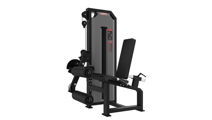 GT-5055 Leg Curl &Extension